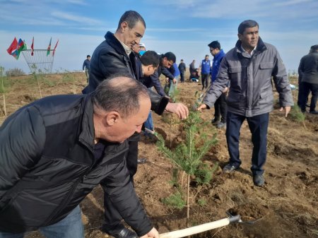 Göygöl rayonunda Şəhidlərimizin xatirəsinə Meşə  Təsərrüfat idarəsi kollektivinin ağacəkmə aksiyası keçirilib