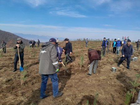 Göygöl rayonunda Şəhidlərimizin xatirəsinə Meşə  Təsərrüfat idarəsi kollektivinin ağacəkmə aksiyası keçirilib
