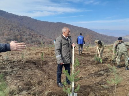 Göygöl rayonunda Şəhidlərimizin xatirəsinə Meşə  Təsərrüfat idarəsi kollektivinin ağacəkmə aksiyası keçirilib