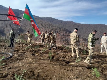 Göygöl rayonunda Şəhidlərimizin xatirəsinə Meşə  Təsərrüfat idarəsi kollektivinin ağacəkmə aksiyası keçirilib