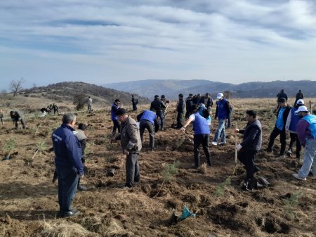 Göygöl rayonunda Şəhidlərimizin xatirəsinə Meşə  Təsərrüfat idarəsi kollektivinin ağacəkmə aksiyası keçirilib