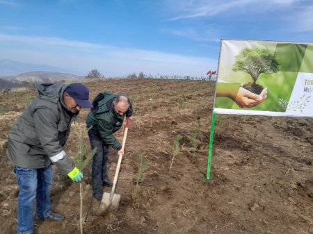 Göygöl rayonunda Şəhidlərimizin xatirəsinə Meşə  Təsərrüfat idarəsi kollektivinin ağacəkmə aksiyası keçirilib
