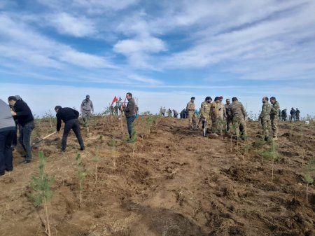 Göygöl rayonunda Şəhidlərimizin xatirəsinə Meşə  Təsərrüfat idarəsi kollektivinin ağacəkmə aksiyası keçirilib
