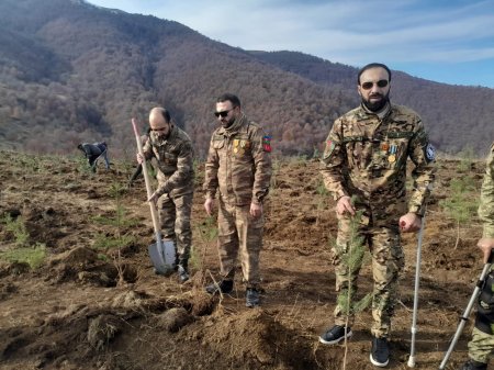 Göygöl rayonunda Şəhidlərimizin xatirəsinə Meşə  Təsərrüfat idarəsi kollektivinin ağacəkmə aksiyası keçirilib