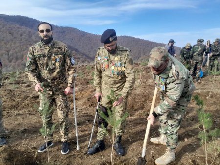 Göygöl rayonunda Şəhidlərimizin xatirəsinə Meşə  Təsərrüfat idarəsi kollektivinin ağacəkmə aksiyası keçirilib