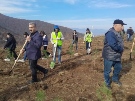 Göygöl rayonunda Şəhidlərimizin xatirəsinə Meşə  Təsərrüfat idarəsi kollektivinin ağacəkmə aksiyası keçirilib