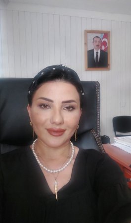 Müzəffər Ali Baş Komandan Şanlı zəfərin memarı