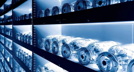 Alimlər "Qiyamət anbarı"nı açdı: Toxumlar sahəyə çıxır